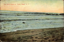 The Wild Ocean Postcard