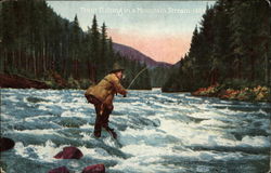 Trout Fishing in a Mountain Stream-1484 Postcard