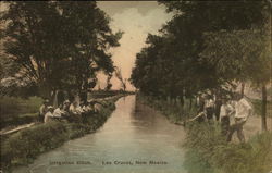 Irrigation Ditch Las Cruces, NM Postcard Postcard