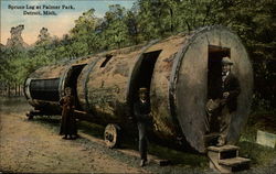 Spruce Log at Palmer Park Postcard