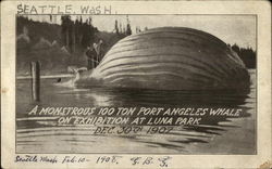 A Monstrous 100 Ton Port Angeles Whale on Exhibition at Luna Park Seattle, WA Postcard Postcard