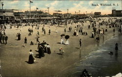 View of the Beach Postcard