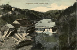 Gaspereaux River Lumber Mills Postcard