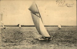 Sailing Boats Postcard