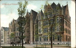 University of Chicago Postcard