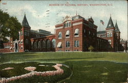 Museum of Natural History Postcard