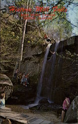 Historic Mill Falls, Rock Bridge Canyon, Hodges, Alabama Postcard