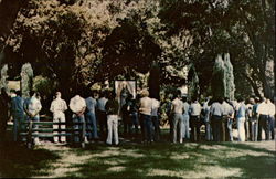 Rosary Lane, Shrine of Our Lady of Guadalupe Postcard