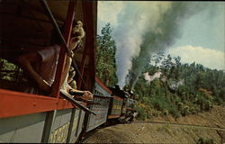 Youthful Passengers on the Rebel Railroad Gatlinburg, TN Postcard Postcard