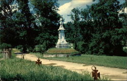 Confederate Graveyard Postcard