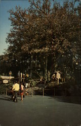 Disneyland's Swiss Family Treehouse Postcard