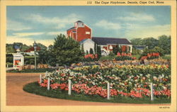 The Cape Playhouse, Cape Cod Postcard