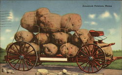 Aroostook Potatoes Postcard