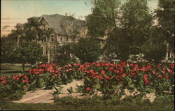 Section of Hotel Royal Palm Gardens Fort Myers, FL Postcard Postcard