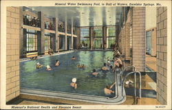 Mineral Water Swimming Pool, in Hall of Eaters Postcard