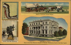 The State Museum Denver, CO Postcard Postcard