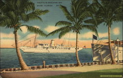 Yachts in Biscayne Bay Miami, FL Postcard Postcard