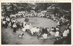 "Y" Camp in the Woods, Bear Lake Stockton, NY Postcard Postcard