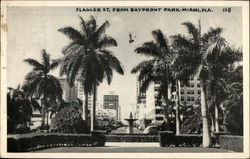 Flagler St. from Bayfront Park Postcard