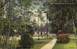 Tourist Park St. Cloud, FL Postcard Postcard