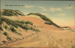 Sand Dunes Postcard