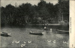 The Cove, Hampton Ponds Westfield, MA Postcard Postcard