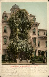 Rose Porch, Mills College Postcard