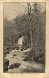 Beaver Brook Falls Postcard