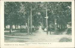 Tremont Common Postcard