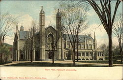 Gore Hall, Harvard University Postcard