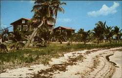 Beach and Lodges at Bill Haerr's Fishing Lodge Postcard