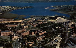 University of Washington Seattle, WA Postcard Postcard