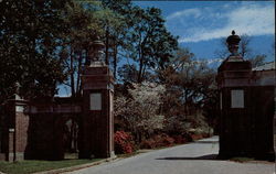 Entrance to Spring Hill College Postcard