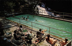 Swimming Pool, Bard College Postcard