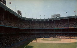 View of Yankee Stadium Postcard