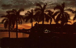 Sunset, Balboa Avenue Postcard