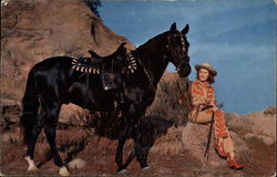 Cowgal and Mount Postcard