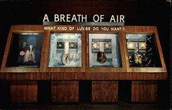 Lung Exhibit, Museum of Science` Boston, MA Postcard Postcard