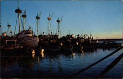 Fishing Fleet at Anchor, North Carolina Coast Postcard