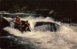 Chattooga River Raft Adventures Postcard