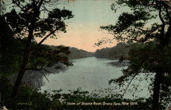 View of Bronx River, Bronx Park New York, NY Postcard Postcard