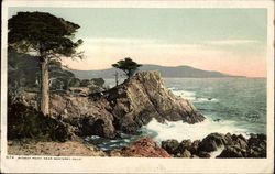 Midway Point Monterey, CA Postcard Postcard