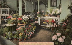 Kensington Flower Shop Postcard