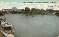 Field Museum and Wooded Island, Jackson Park Postcard