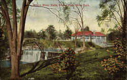 Bronx River Falls, Bronx Park New York, NY Postcard Postcard