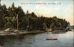 Along the Shore of Spofford Lake Postcard