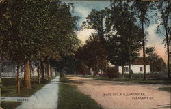 White Mountains; Pleasant Street Postcard