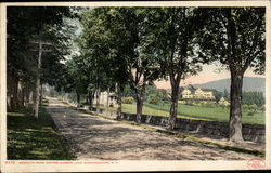 Meredith Road, Centre Harbor Lake Postcard