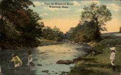 View on Westfield River Massachusetts Postcard Postcard