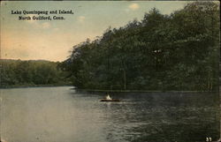 Lake Quoninpaug and Island Postcard